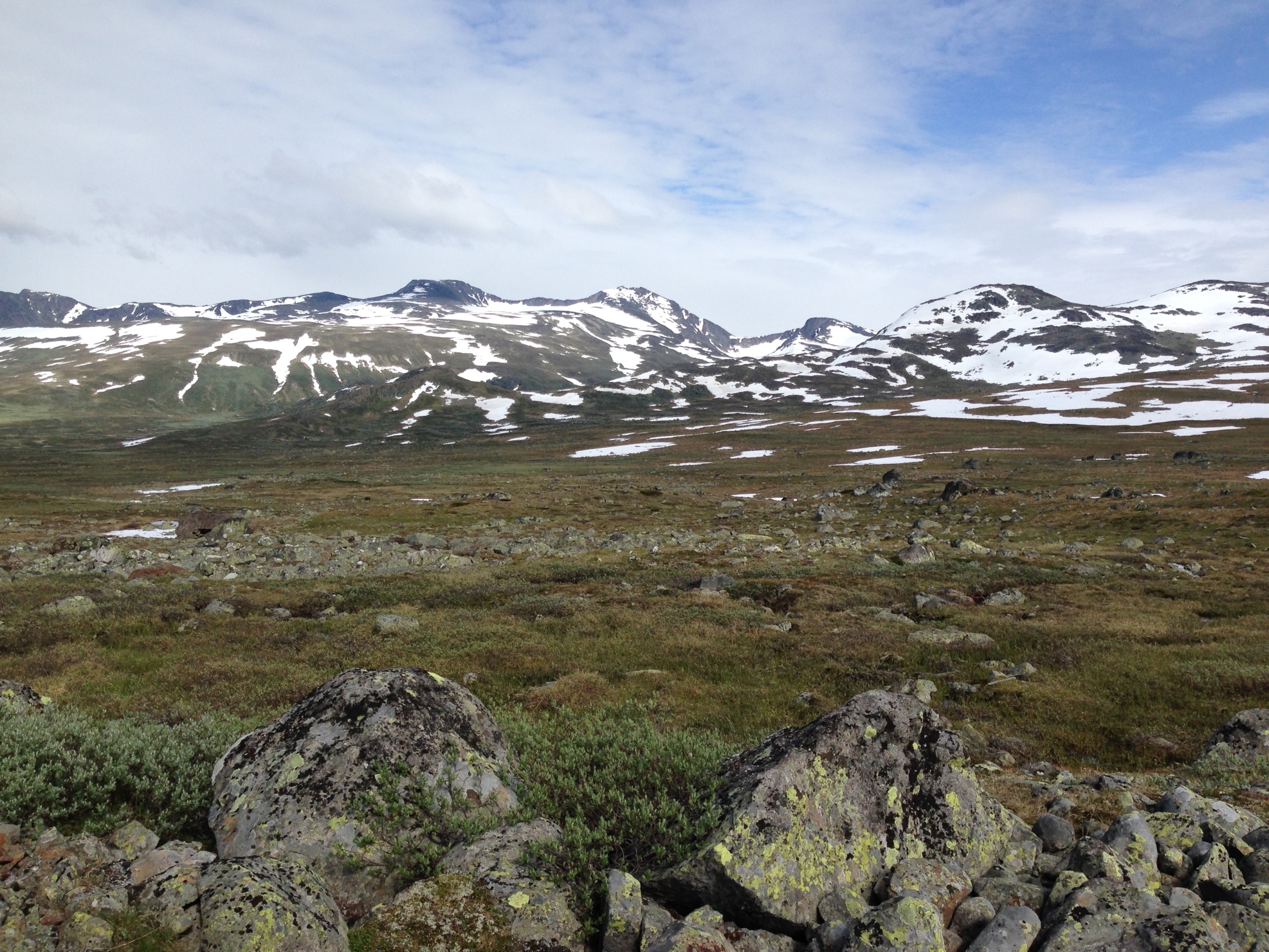 berglandschap