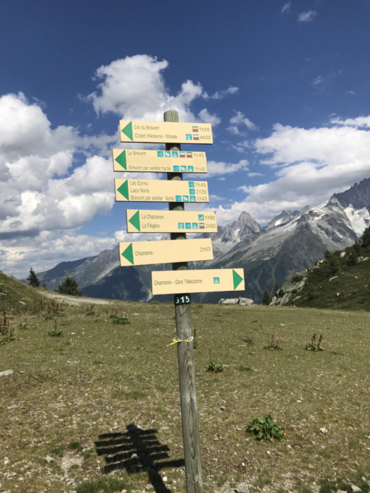 T-splitsing: trajecten en toppen